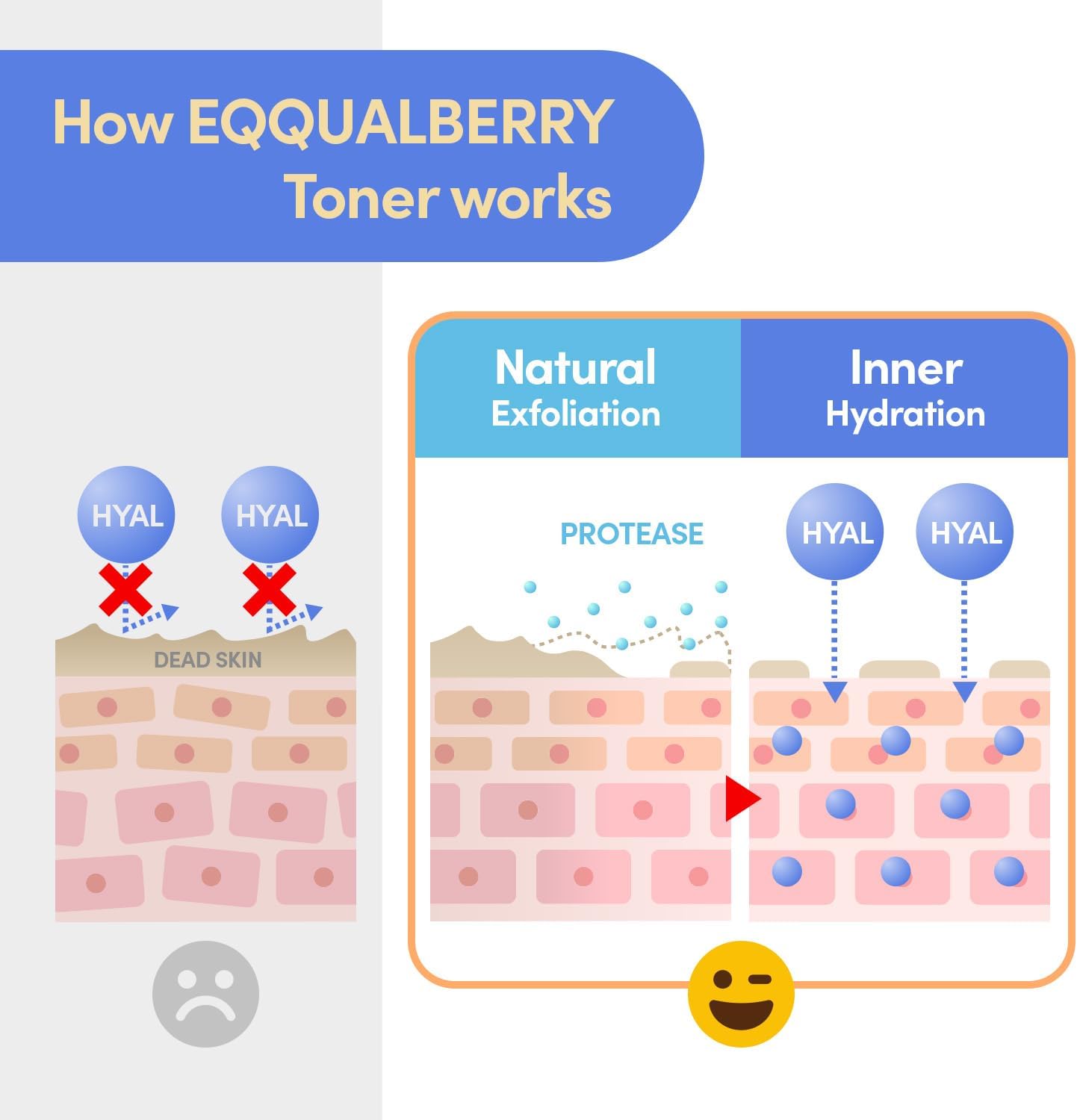 EQQUALBERRY | Swimming Pool Toner (300ml)