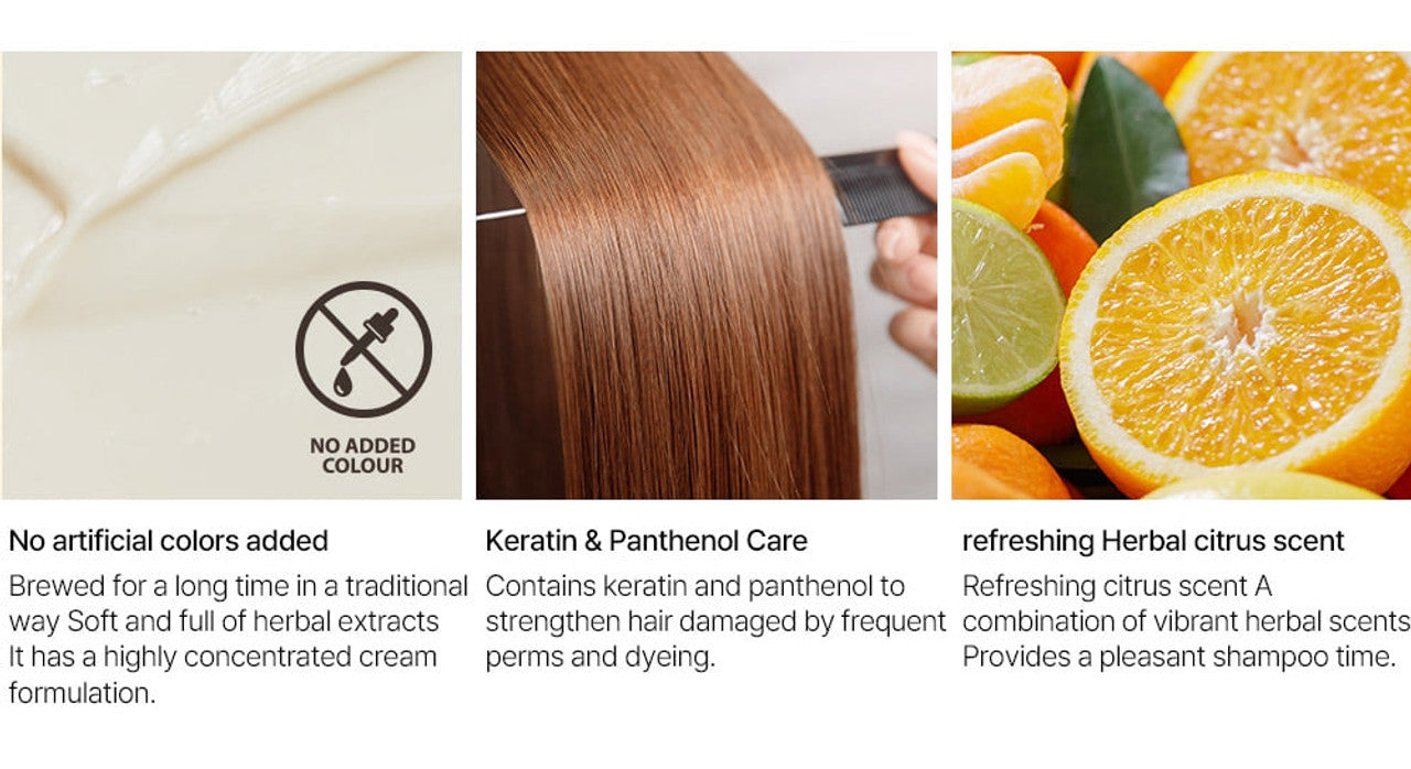 DAENG GI MEO RI | Vitalizing Treatment 50ml/500ml (Balsamo Capelli Danneggiati)