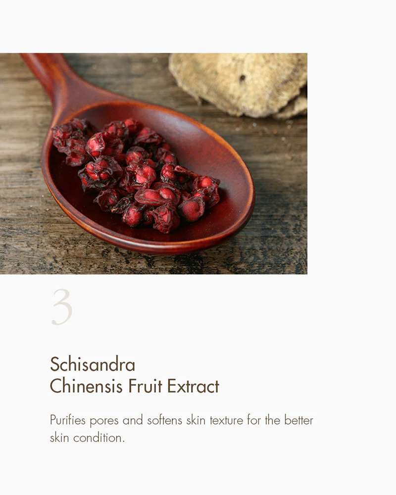 Dr Ceuracle | Vegan Kombucha Tea Gel Cream 75g (Crema Viso)