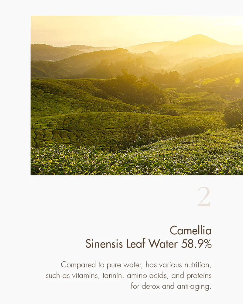 Dr Ceuracle | Vegan Kombucha Tea Gel Cream 75g (Crema Viso)