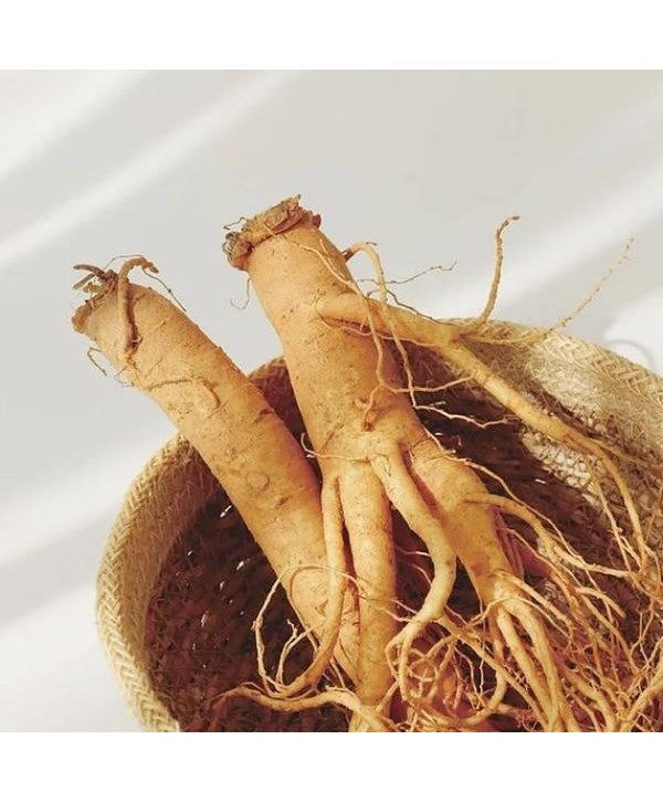 BEAUTY OF JOSEON | Ginseng Essence Water - 40ml/150ml