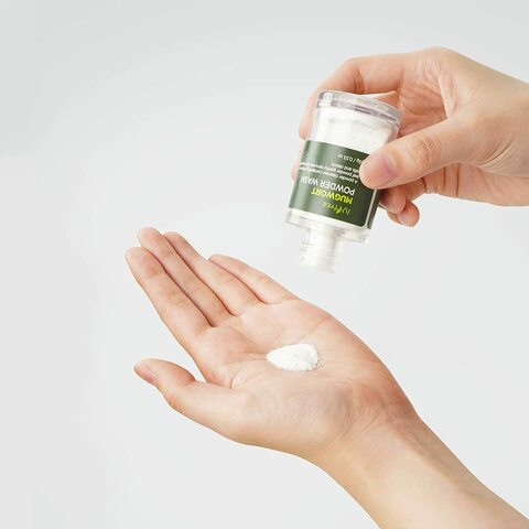 ISNTREE | Mugwort Powder Wash 15g (Detergente in Polvere)