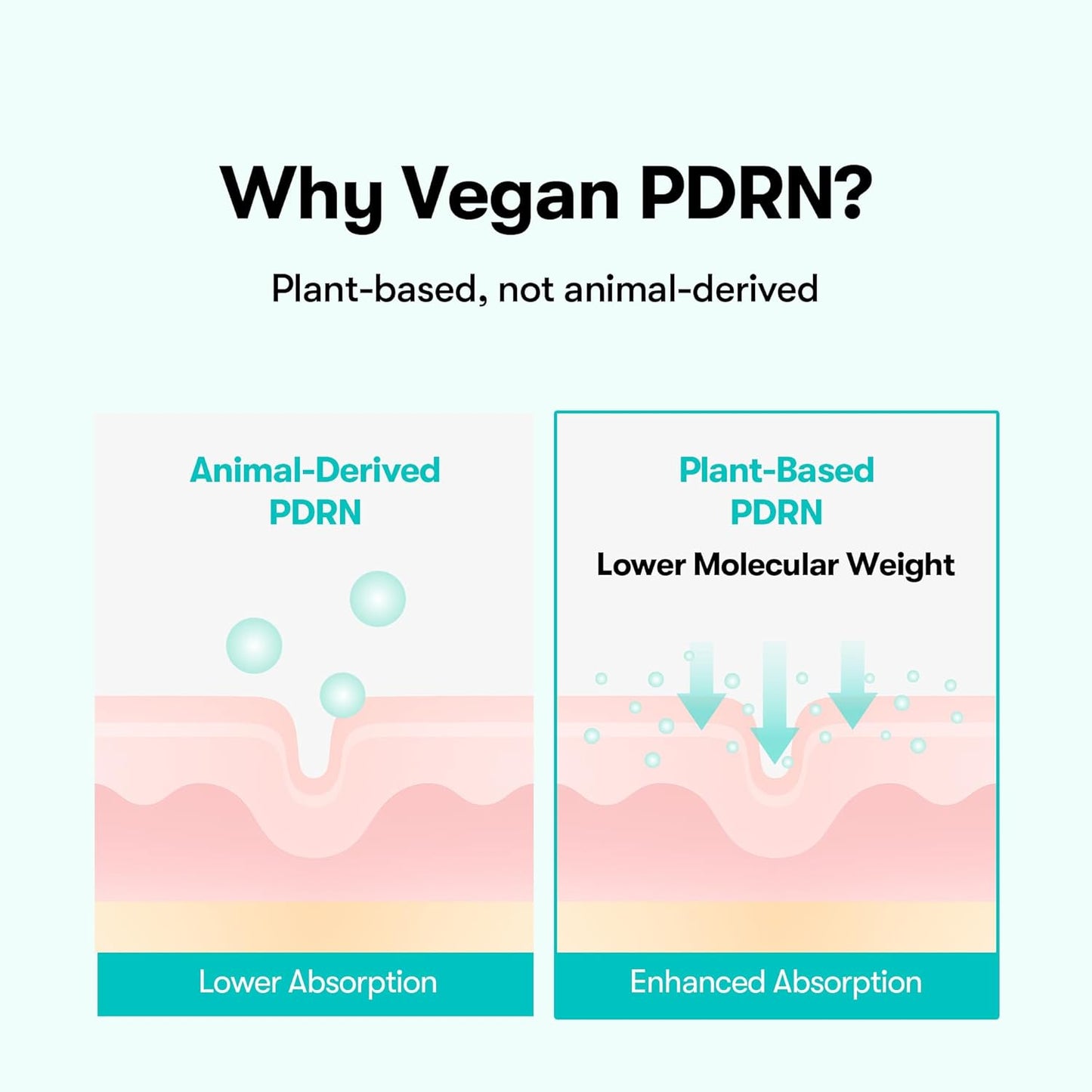 VT COSMETICS | PDRN Glow Ampoule 100ml