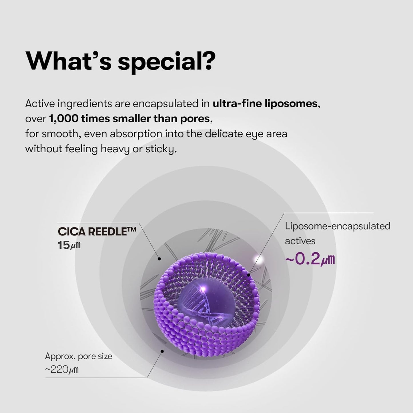 VT COSMETICS | Reedle Shot Lifting Eye Cream  15ml (Crema Contorno Occhi)