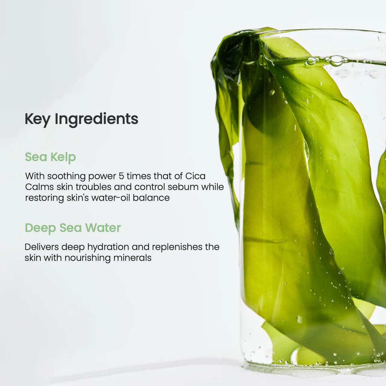 Biodance | Refreshing Sea Kelp Real Deep Mask (Maschera viso idrogel)