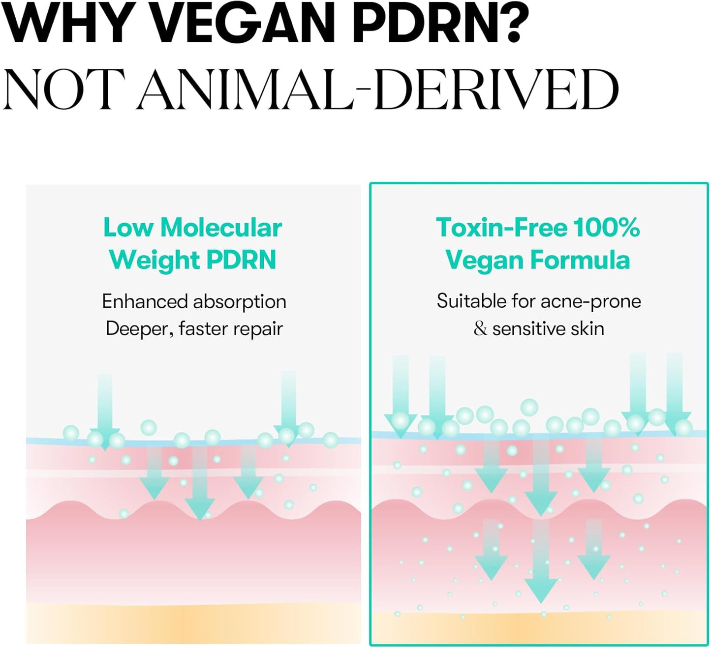 VT COSMETICS | PDRN Capsule Cream 100 - 50ml