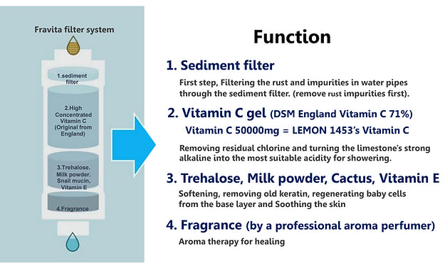 Fravita | Premium Vitamin Shower Filter (Filtro Doccia)